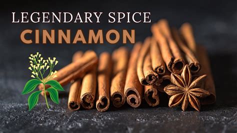 Exploring the Elemental Magic of Cinnamon